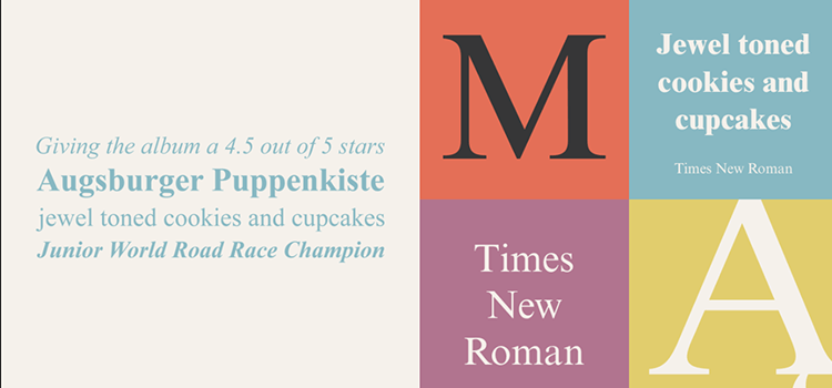 Font For Designer Times New Roman