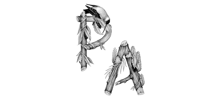 Artist Violaine & Jeremy